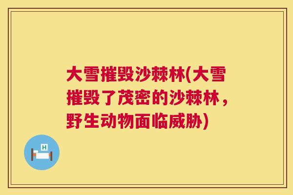 大雪摧毁沙棘林(大雪摧毁了茂密的沙棘林，野生动物面临威胁)