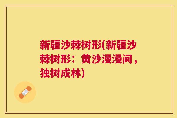 新疆沙棘树形(新疆沙棘树形:黄沙漫漫间,独树成林)