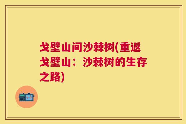 戈壁山间沙棘树(重返戈壁山:沙棘树的生存之路)