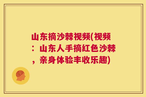 山东摘沙棘视频(视频：山东人手摘红色沙棘，亲身体验丰收乐趣)