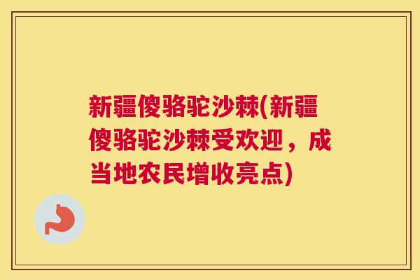新疆傻骆驼沙棘(新疆傻骆驼沙棘受欢迎,成当地农民增收亮点)