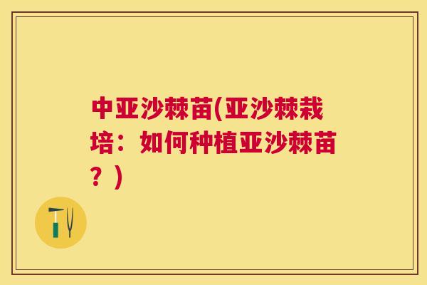 中亚沙棘苗(亚沙棘栽培：如何种植亚沙棘苗？)