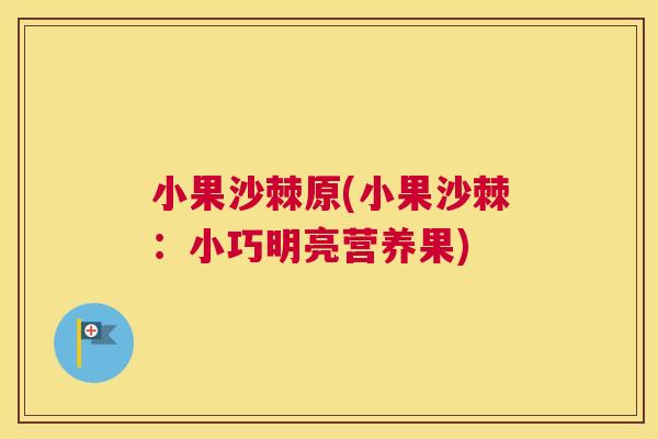 小果沙棘原(小果沙棘:小巧明亮营养果)