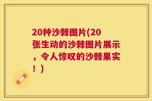 20种沙棘图片(20张生动的沙棘图片展示，令人惊叹的沙棘果实！)