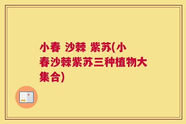 小春 沙棘 紫苏(小春沙棘紫苏三种植物大集合)