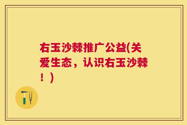 右玉沙棘推广公益(关爱生态,认识右玉沙棘!)