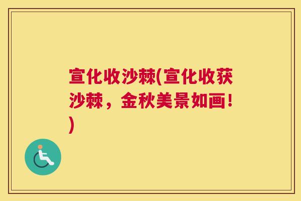 宣化收沙棘(宣化收获沙棘，金秋美景如画！)