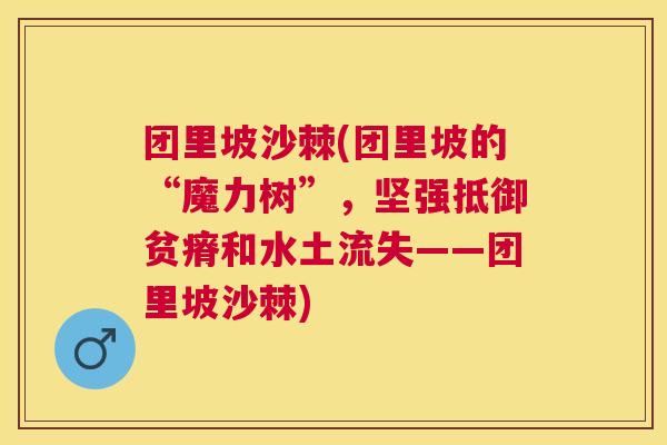 团里坡沙棘(团里坡的“魔力树”，坚强抵御贫瘠和水土流失——团里坡沙棘)