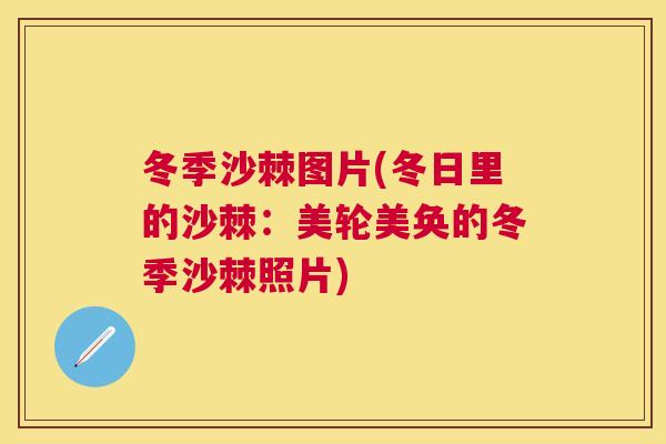 冬季沙棘图片(冬日里的沙棘：美轮美奂的冬季沙棘照片)