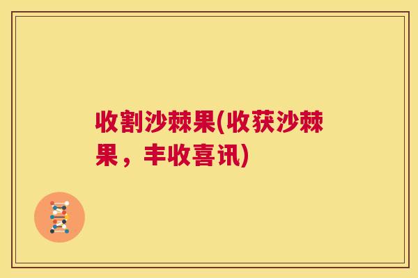 收割沙棘果(收获沙棘果，丰收喜讯)