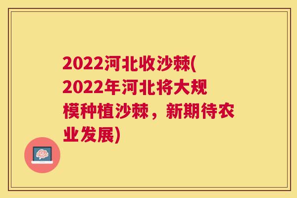 2022河北收沙棘(2022年河北将大规模种植沙棘，新期待农业发展)