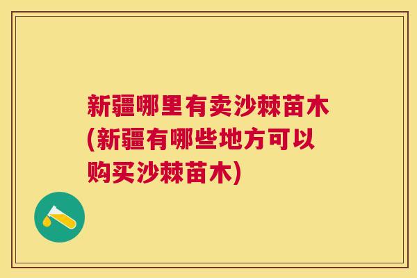 新疆哪里有卖沙棘苗木(新疆有哪些地方可以购买沙棘苗木)