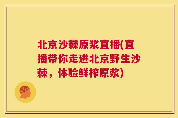 北京沙棘原浆直播(直播带你走进北京野生沙棘，体验鲜榨原浆)