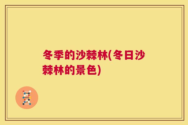 冬季的沙棘林(冬日沙棘林的景色) 冬季的沙棘林(冬日沙棘林的景色)