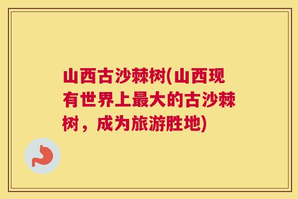 山西古沙棘树(山西现有世界上最大的古沙棘树，成为旅游胜地)