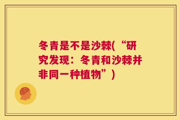 冬青是不是沙棘(“研究发现：冬青和沙棘并非同一种植物”)