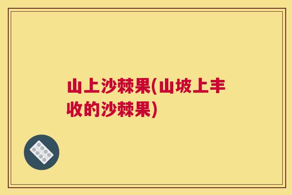 山上沙棘果(山坡上丰收的沙棘果)