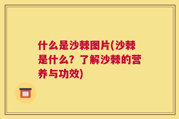 什么是沙棘图片(沙棘是什么？了解沙棘的营养与功效)