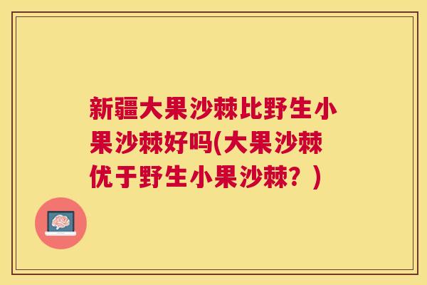 新疆大果沙棘比野生小果沙棘好吗(大果沙棘优于野生小果沙棘？)