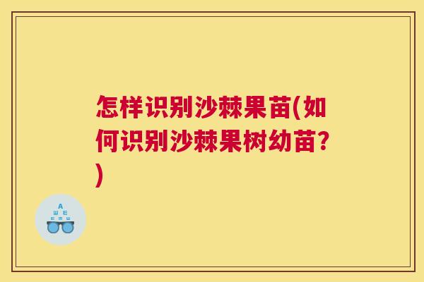 怎样识别沙棘果苗(如何识别沙棘果树幼苗？)