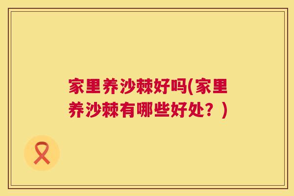 家里养沙棘好吗(家里养沙棘有哪些好处？)
