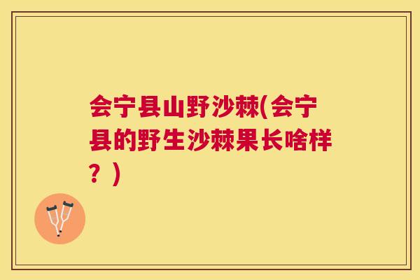 会宁县山野沙棘(会宁县的野生沙棘果长啥样？)
