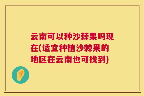 云南可以种沙棘果吗现在(适宜种植沙棘果的地区在云南也可找到)