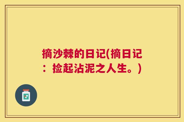 摘沙棘的日记(摘日记：捡起沾泥之人生。)