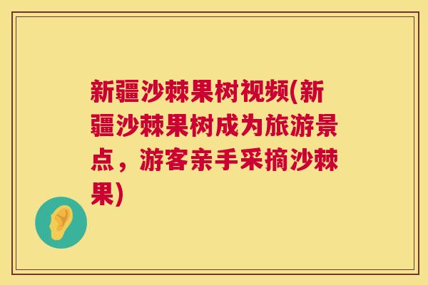 新疆沙棘果树视频(新疆沙棘果树成为旅游景点，游客亲手采摘沙棘果)