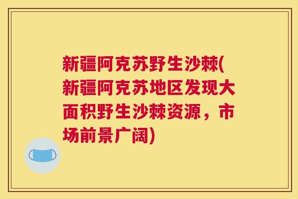 新疆阿克苏野生沙棘(新疆阿克苏地区发现大面积野生沙棘资源,市场前景广阔)