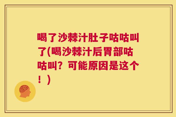 喝了沙棘汁肚子咕咕叫了(喝沙棘汁后胃部咕咕叫?可能原因是这个!)