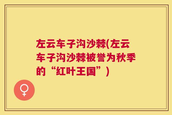 左云车子沟沙棘(左云车子沟沙棘被誉为秋季的“红叶王国”)