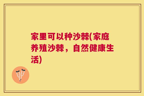 家里可以种沙棘(家庭养殖沙棘，自然健康生活)