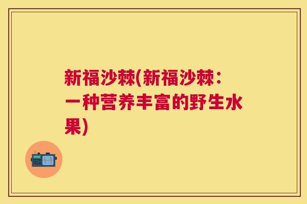 新福沙棘(新福沙棘：一种营养丰富的野生水果)