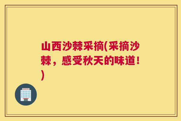 山西沙棘采摘(采摘沙棘,感受秋天的味道!)
