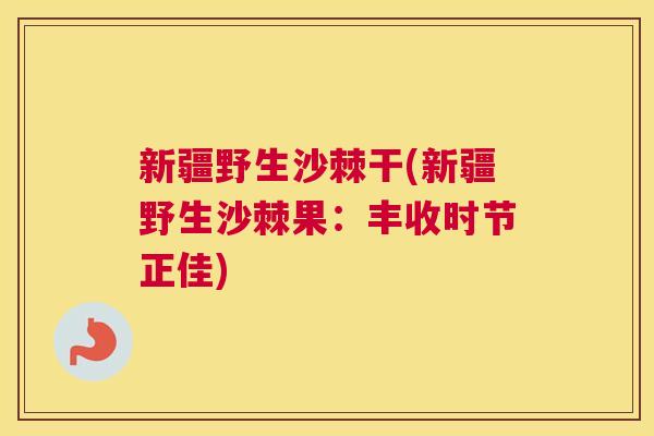 新疆野生沙棘干(新疆野生沙棘果：丰收时节正佳)