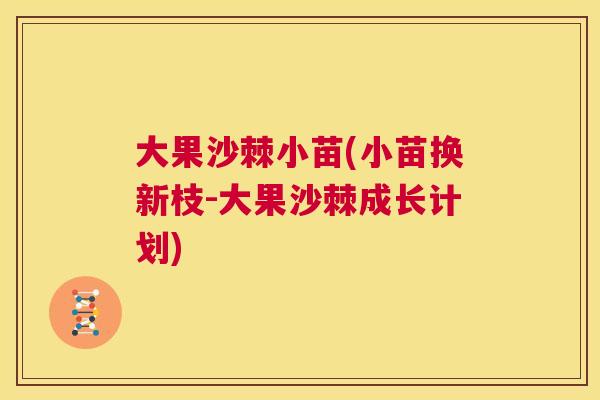 大果沙棘小苗(小苗换新枝-大果沙棘成长计划)