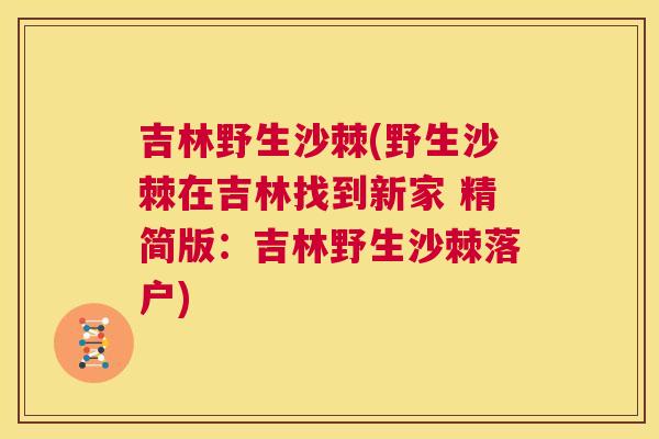 吉林野生沙棘(野生沙棘在吉林找到新家 精简版：吉林野生沙棘落户)