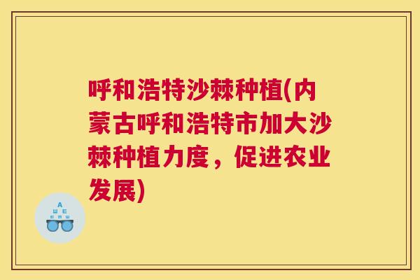 呼和浩特沙棘种植(内蒙古呼和浩特市加大沙棘种植力度，促进农业发展)