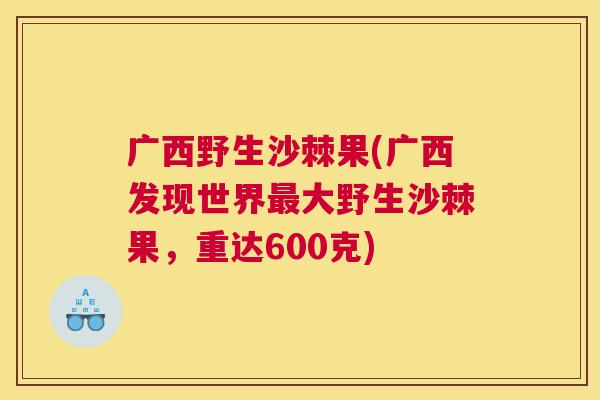 广西野生沙棘果(广西发现世界最大野生沙棘果，重达600克)