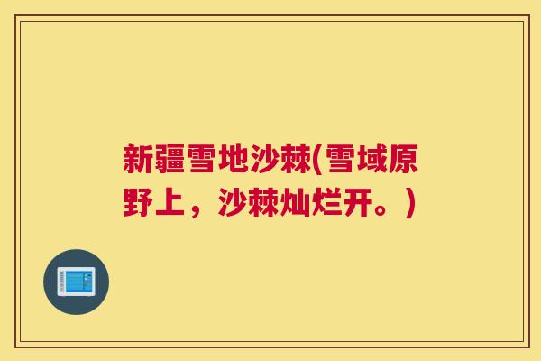 新疆雪地沙棘(雪域原野上,沙棘灿烂开。) 新疆雪地沙棘(雪域原野上,沙棘灿烂开。)
