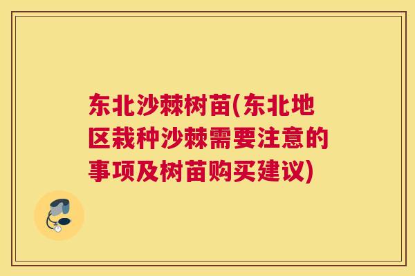 东北沙棘树苗(东北地区栽种沙棘需要注意的事项及树苗购买建议)