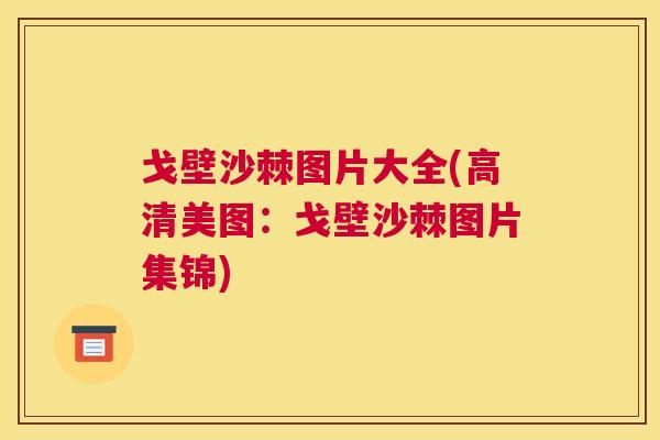 戈壁沙棘图片大全(高清美图：戈壁沙棘图片集锦)