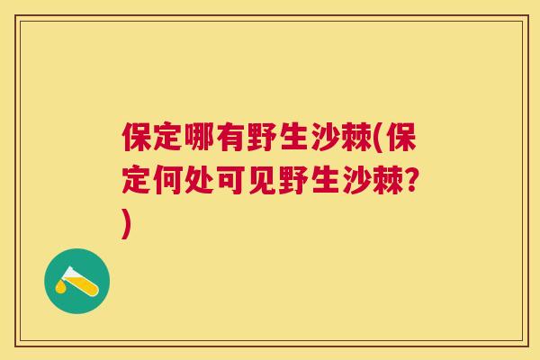 保定哪有野生沙棘(保定何处可见野生沙棘？)
