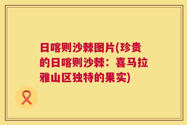 日喀则沙棘图片(珍贵的日喀则沙棘:喜马拉雅山区独特的果实)