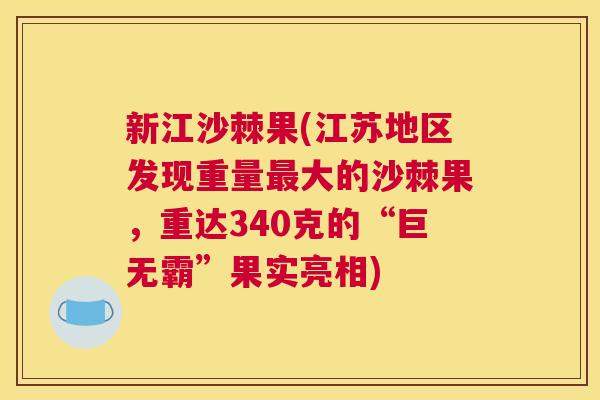 新江沙棘果(江苏地区发现重量最大的沙棘果,重达340克的“巨无霸”果实亮相)