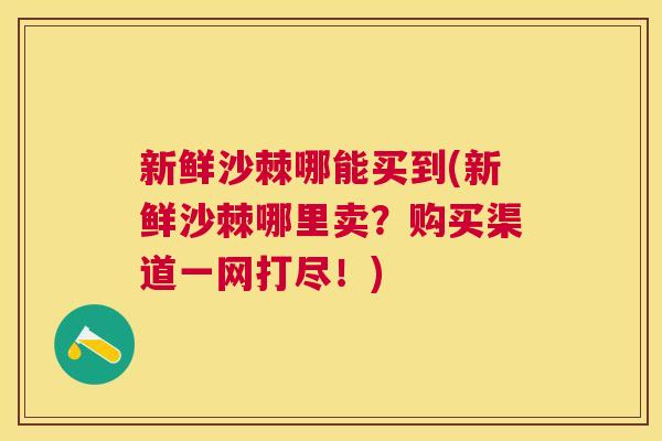 新鲜沙棘哪能买到(新鲜沙棘哪里卖？购买渠道一网打尽！)
