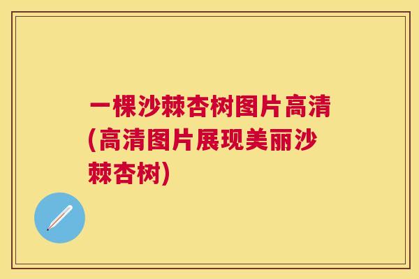 一棵沙棘杏树图片高清(高清图片展现美丽沙棘杏树)