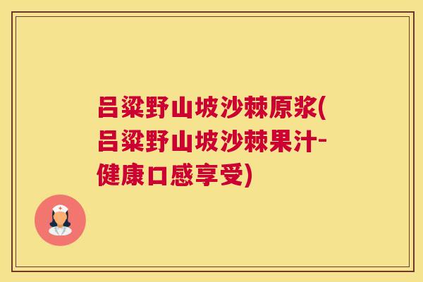吕粱野山坡沙棘原浆(吕粱野山坡沙棘果汁-健康口感享受)