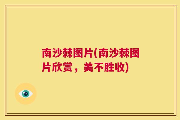 南沙棘图片(南沙棘图片欣赏，美不胜收)